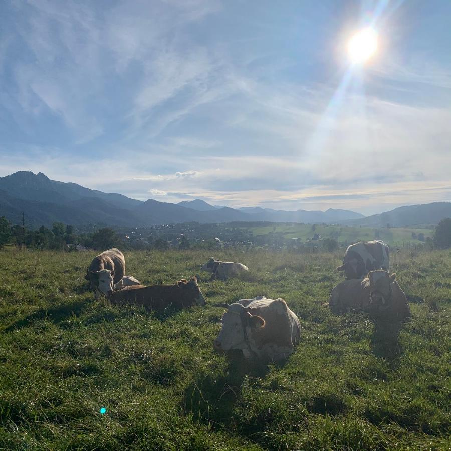 Pekalowka-Widokowe Zacisze 'Zmierzch' Zakopane Buitenkant foto