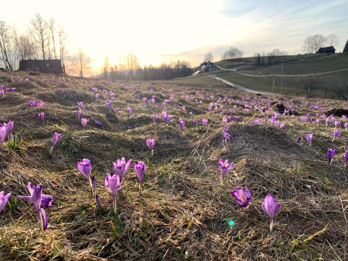 Pekalowka-Widokowe Zacisze 'Zmierzch' Zakopane Buitenkant foto